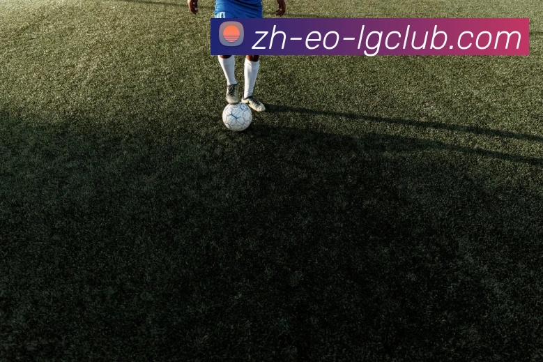 老哥俱乐部官网平台生态图