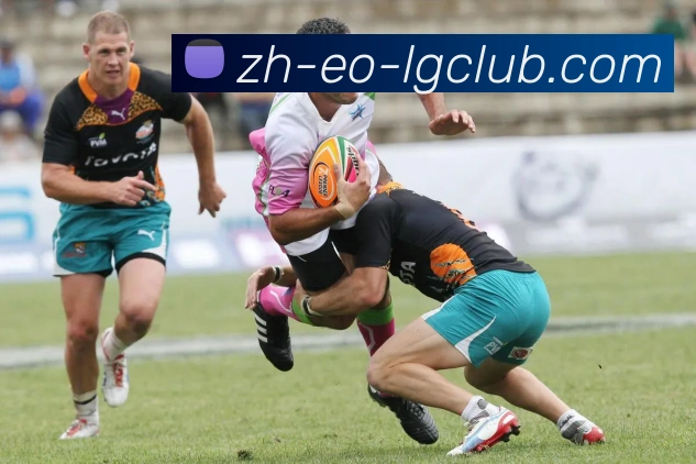 老哥俱乐部官网APP 封面图